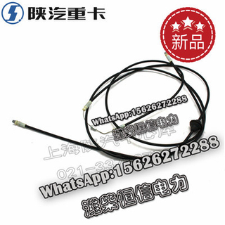 SHACMAN F3000 NEW M3000X3000 Mask lock wire drawing assembly DZ15221114120 