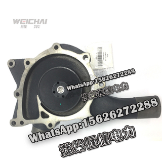 Weichai Spare pump assembly 610800060207 