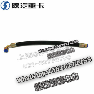 SHACMAN X3000F3000 NEW M3000 High pressure hose assembly DZ9100470106 