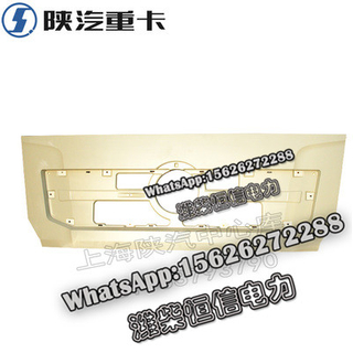 SHACMAN F3000M3000X3000 Front cover body DZ14251110011 