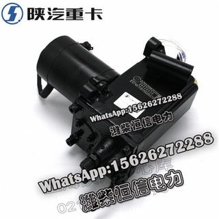 SHACMAN F3000 NEW M3000X3000 Electric oil pump assembly DZ93259820200 