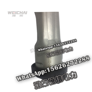 Weichai Oil pipe plus oil pipe assembly 612600015335 