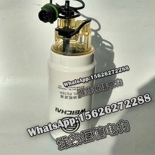 Weichai Fuel coarse filter 1000495963 spare parts 
