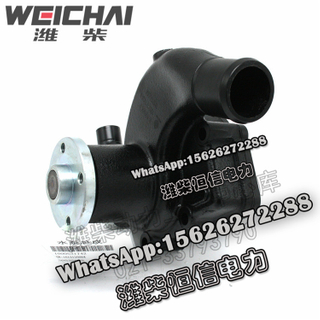 Weichai water pump 1000531742 