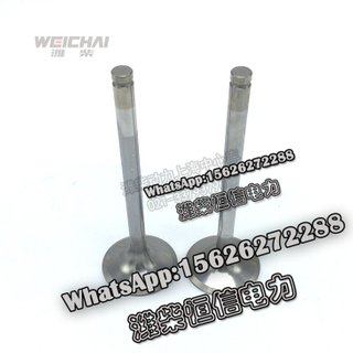 Weichai Steyr diesel intake and exhaust valves 612600050073 