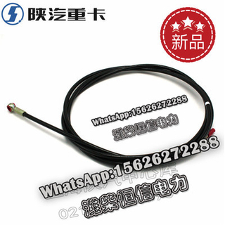 SHACMAN F3000 NEW M3000X3000 Tubing DZ93259230420 