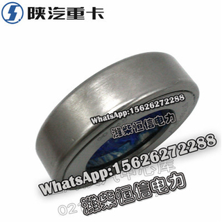SHACMAN F3000 NEW M3000X3000 Roller bearing 06.32819.0017 