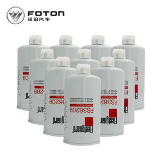 Foton Cummins  Foton VIEWEngine Air Element with Security Element 1004110-55D 