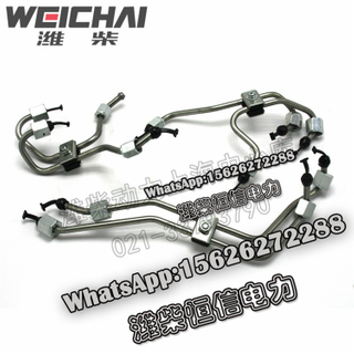 Weichai high pressure oil pipe assembly 1000161325 