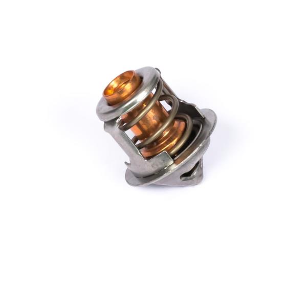 Perkins Thermostat 145206270 For Diesel engine