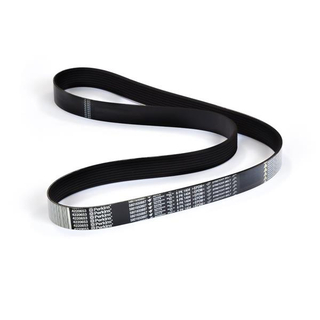 Perkins Serpentine belt - 53.7in 4220653 For Diesel engine