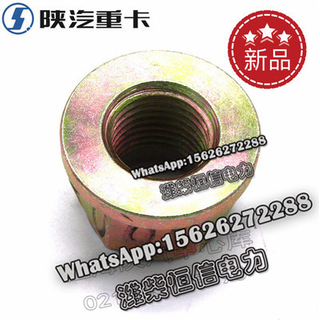 SHACMAN X3000F3000 NEW M3000 Shoulder nut 06.11289.0003 