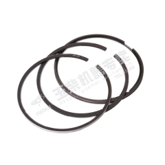 Yuchai Piston ring assembly (12 pieces) F3000-1004002B Spare parts