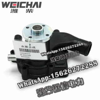 Weichai water pump 1000080278 