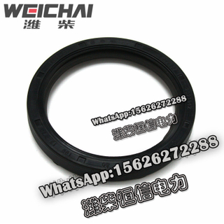 Weichai Dedicated rear oil seal 2021942 
