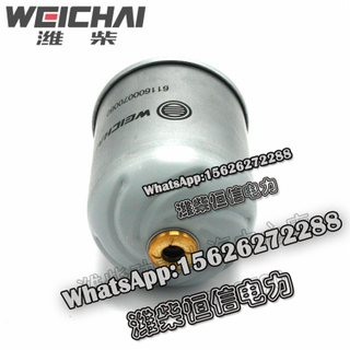 Weichai centrifugal filter element 611600070060 