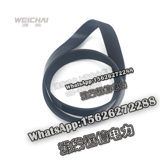 Weichai Power parts belt ribbed belt 612630060974 